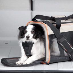 Kurgo Wander Transport og Bæretaske Til den lille Hund Max 8 kg